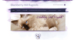 Desktop Screenshot of blackberryhillragdolls.com