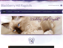 Tablet Screenshot of blackberryhillragdolls.com